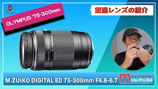 OLYMPUS】M.ZUIKO DIGITAL ED 75-300mm F4.8-6.7 - YouTube