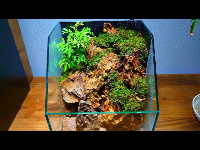 アクアテラリウム 気孔石 No.5-no.4set アクアテラリウム 気孔石 No.5