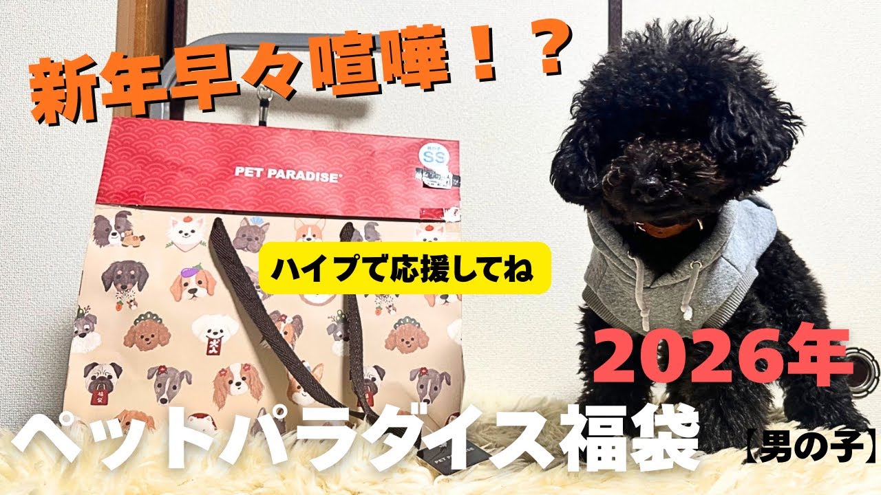 第614話【ペットパラダイス 福袋】2026年ペットパラダイスの福袋は期待