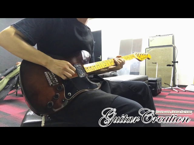 Super Customator 800 エレキギター Super Customator 800 エレキ