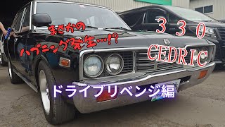 Old car] A fun drive will unfold unexpectedly ? [330 Cedric