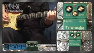 BOSS TR-2 Tremolo Effects Pedal | Guitar Center