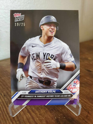 その他 anthony volpe Cherry parallel その他 anthony volpe Cherry