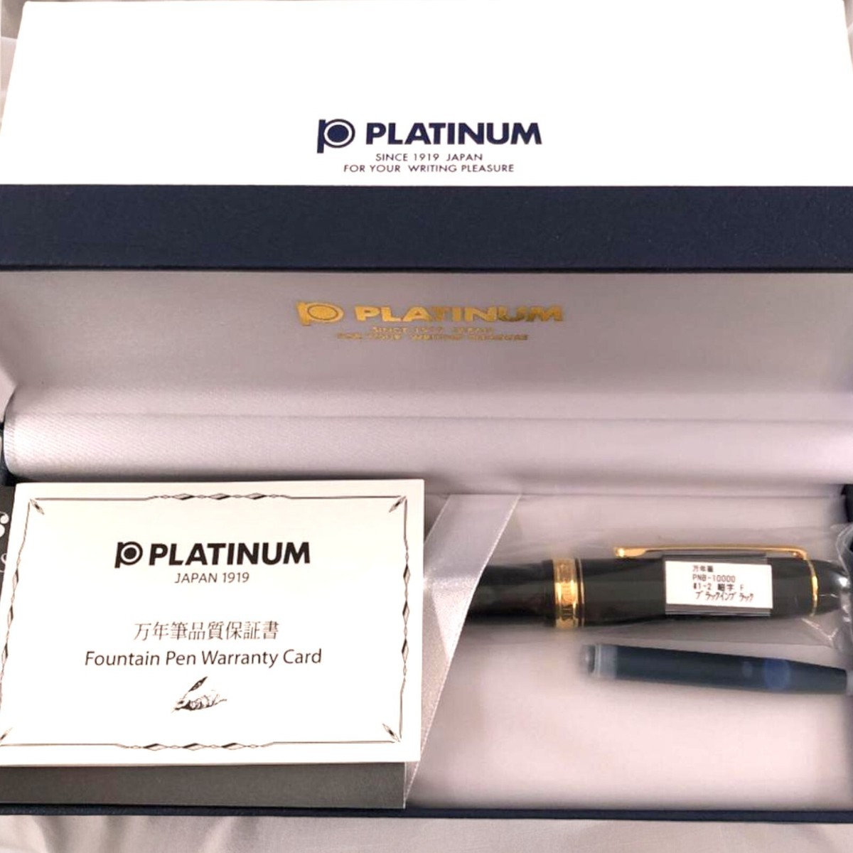 Platinum Century #3776 Fountain Pen Black in Black F Nib PNB-10000