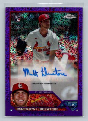 直筆サイン入り写真 クリス・ヘムズワース マイティ・ソー/フレーム別