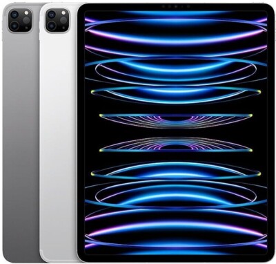 Apple iPad Pro 4th Gen. A2759 - 256GB, Wi-Fi, 11in - Gray or