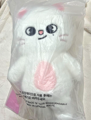 Stray Kids SKZOO Teddy Bear Jiniret Official Plush Ver 5'Clock New