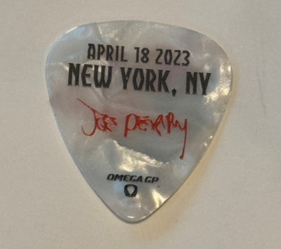 Aerosmith エアロスミス Joe Perry Y2K ギターピック Aerosmith エアロ