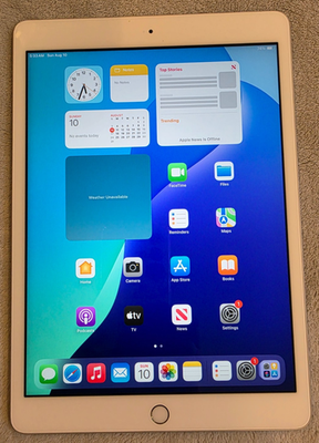 Apple iPad A2197 7th Gen 10.2