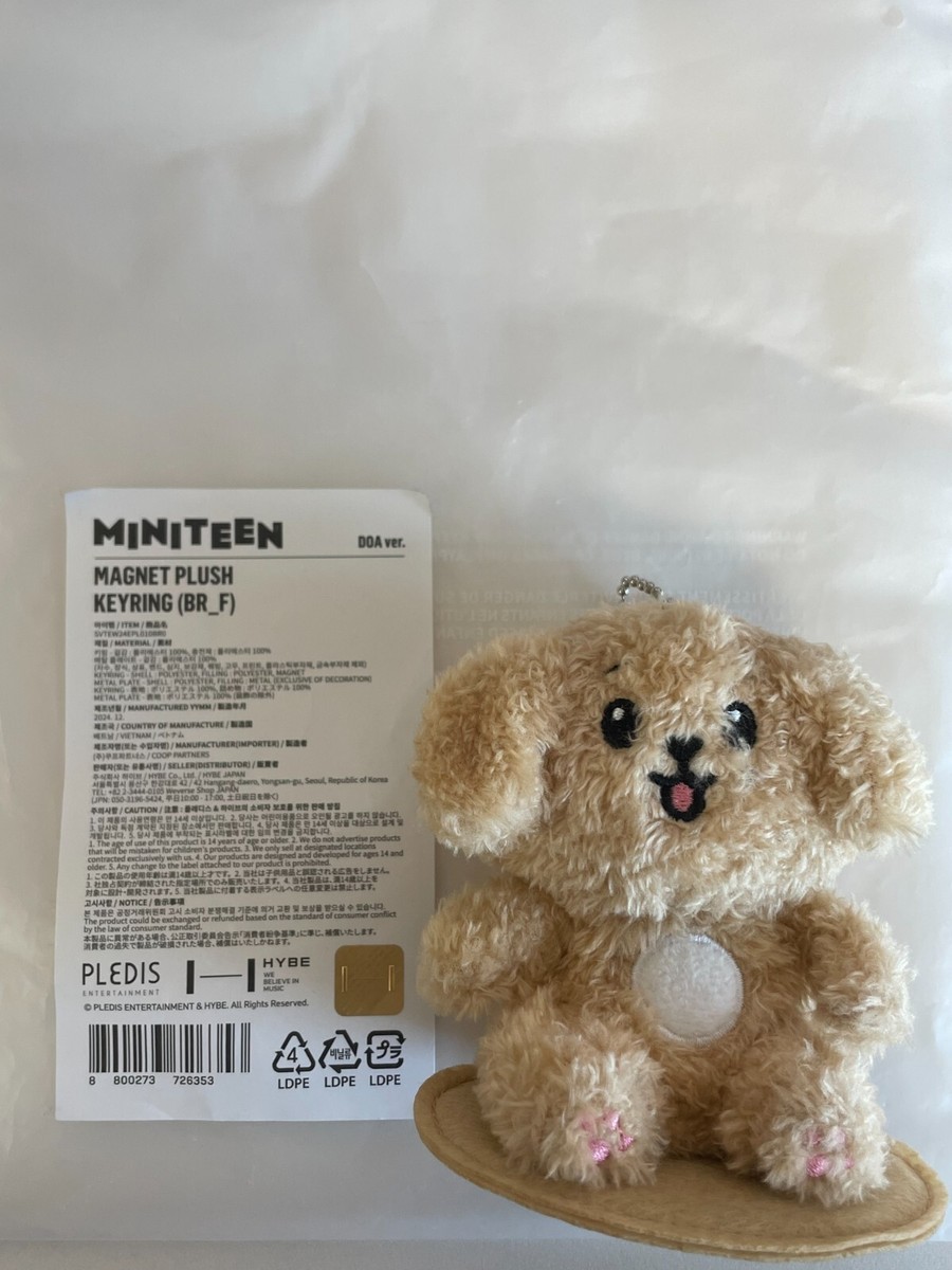 MINITEEN MAGNET PLUSH KEYRING ドギョム DOA SEVENTEEN ドギョム