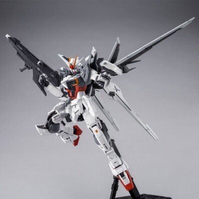 Premium Bandai MG 1/100 GUNDAM Ex IMPULSE Manfred's Mobile Suit
