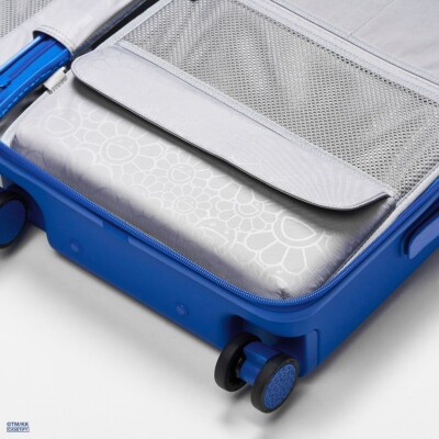 CASETIFY x TAKASHI MURAKAMI MR. DOB BOUNCE CARRY-ON TRAVEL SET | eBay