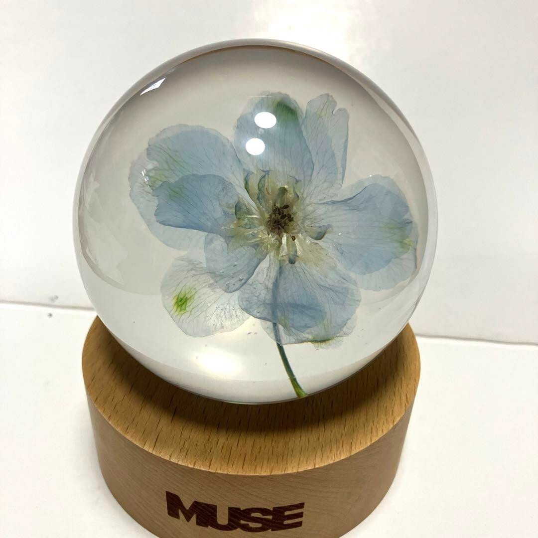 ジミン ミューズ ペーパーウェイト JIMIN MUSE グッズ BTS Jimin Muse