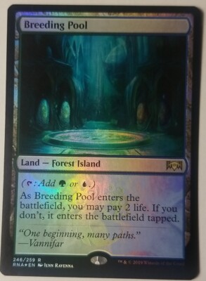 mtg 繁殖池 breeding pool foil 初版 dissension mtg 繁殖池foil