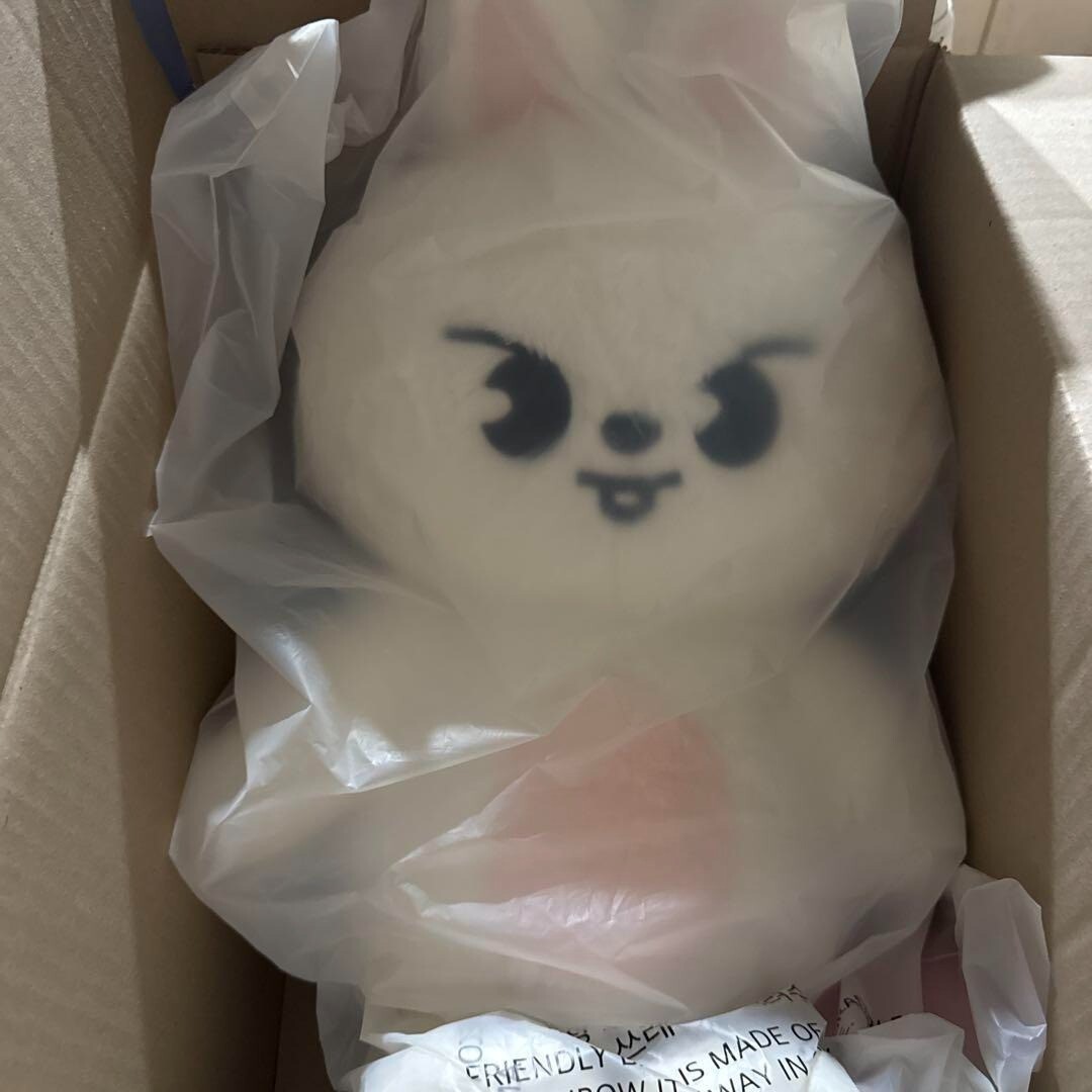 Stray Kids SKZOO Leebit Official Plush Teddy Bear Ver. 5'clock