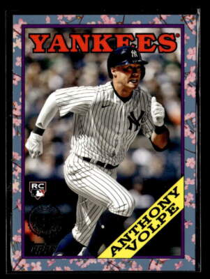 anthony volpe Cherry parallel