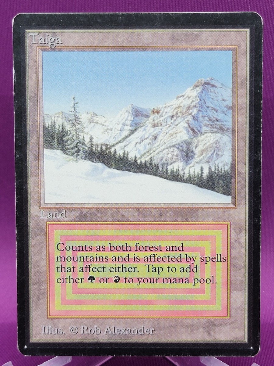 MTG Taiga 旧枠30A PSA10 MTG Taiga 旧枠30A PSA10 MTG Taiga 旧枠30A