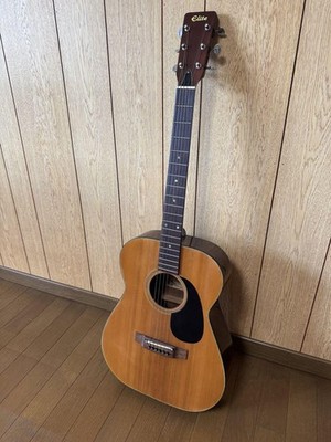 Takamine Elite F120 Acoustic Guitar Vintage Dreadnought Classic