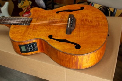 Electric Acoustic Guitar ARIA FET-F2 STBR F Hole Natural | eBay