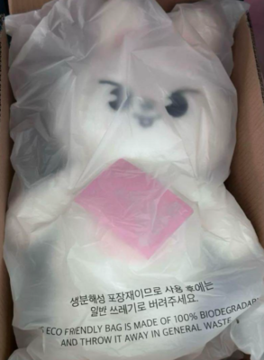 リービット テディベア TEDDYBEAR ぬいぐるみ 5'CLOCK Stray Kids