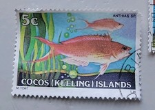3282 外国切手 ココス諸島 1969年 島の野生生物 貝 鳥 12種完 3282