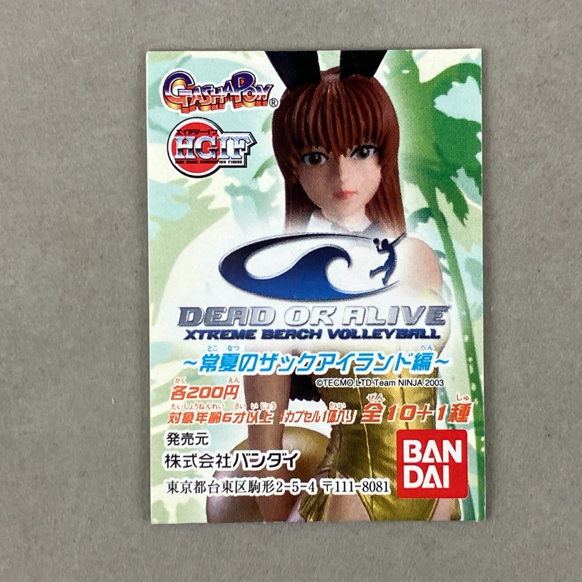 Bandai Dead or Alive Lei Fang Leifang Silver Swimsuit HGIF Anime