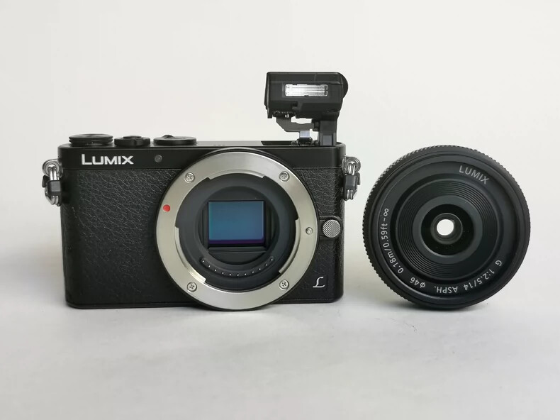 Mint] Panasonic LUMIX DMC-GM1 Black Digital Camera English