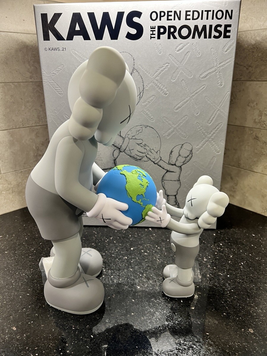 KAWS THE PROMISE GREY