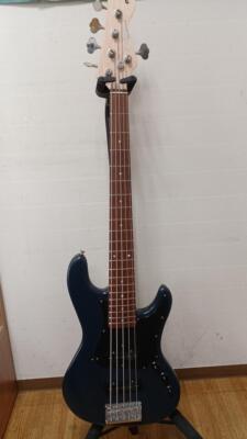 FREEDOM CUSTOM GUITAR RESEARCH ANTHRA 5ST Electric Bass Guitar | eBay