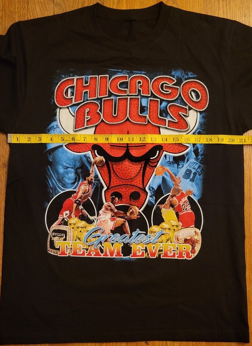 CHICAGO BULLS vintage rap ブルズ Vintage 90s Chicago Bulls Rap Tee