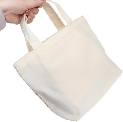 Peanuts Snoopy [Lunch Bag] Gusseted Bag / Record SN1942 Small