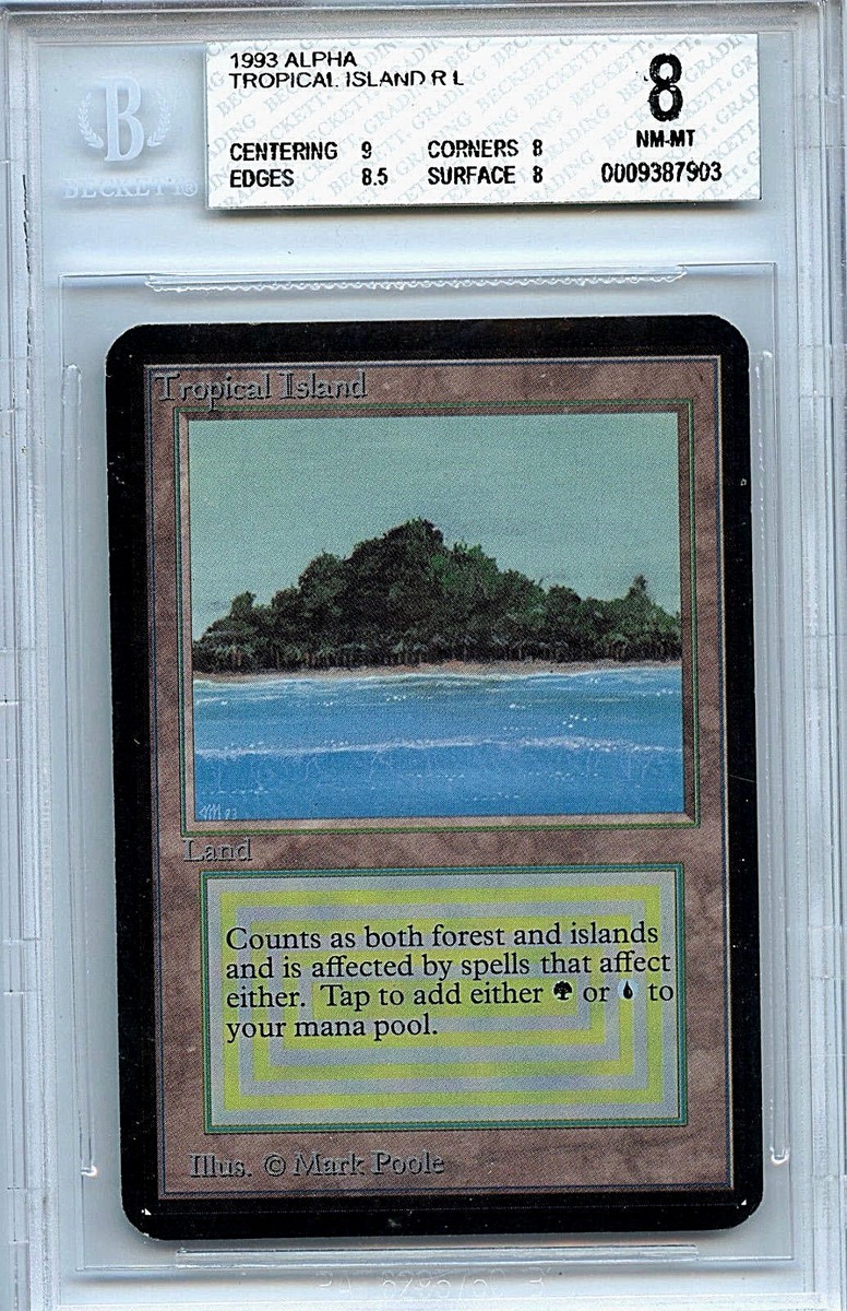 最終価格】MTG Tropical 英語 ① 最終価格】MTG Tropical 英語 ① 最終