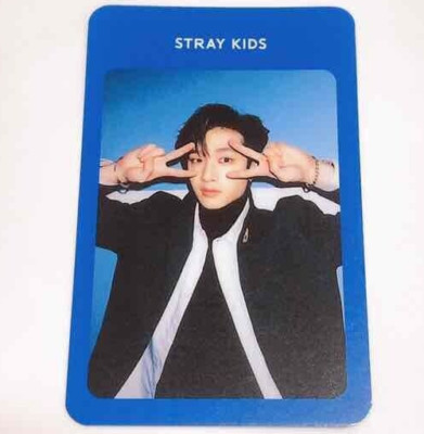 Straykids playground ポラロイド コンプリート チャンビン Straykids