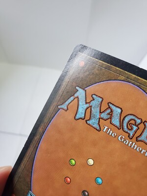 MTG Yavimaya Hollow Foil English UD Urza's Destiny EX | eBay