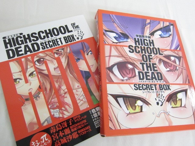 HIGHSCHOOL OF THE DEAD Secret Box w/Free Gift Ltd Art Set Book