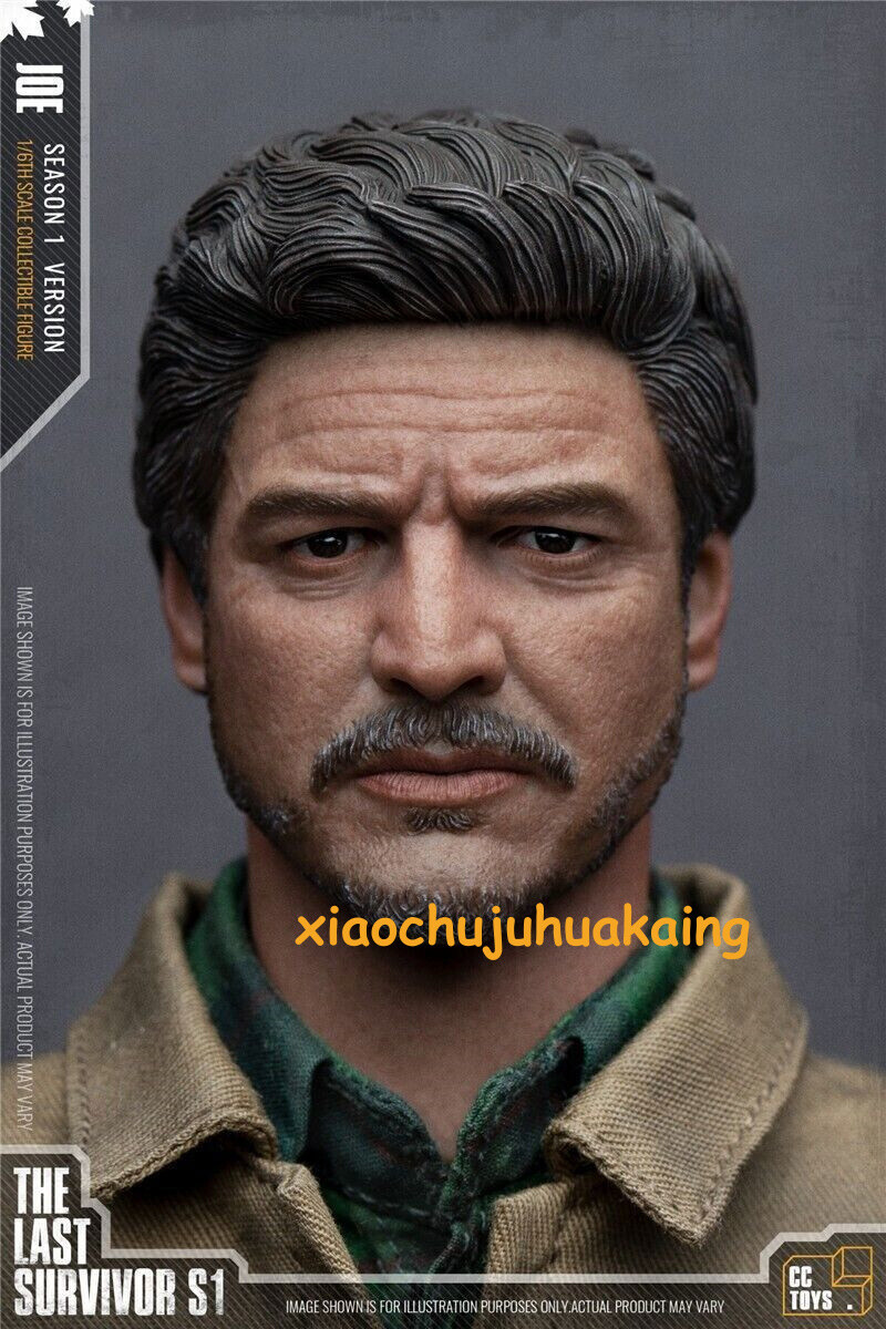 CCTOYS 1/6 Scale HE LAST SURVIVOR JOE 新品