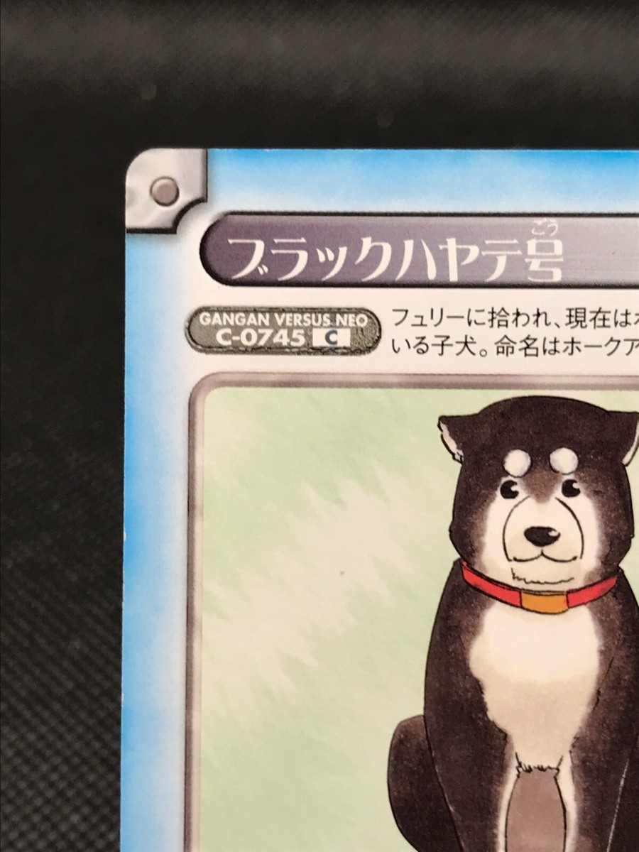 Black Hayate Fullmetal Alchemist GANGAN VERSUS TCG Square Enix