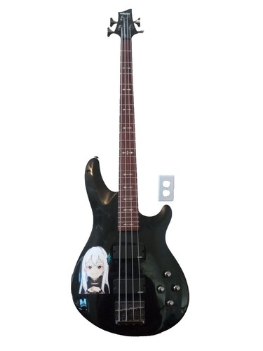 SCHECTER AD-C-4 Hellraser Bass☆ハードケース付 Schecter Ad-C-4