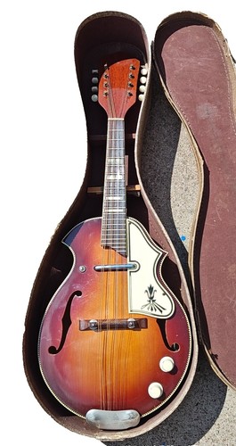 SUZUKI マンドリン NO206 Suzuki Mandolin No.206 Violin Japan