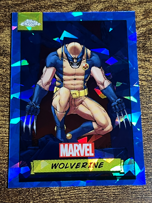 MTG【Foil】Marvel's Wolverine 1箱 Amazon.com: Secret Lair x