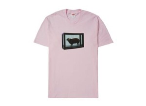 Supreme Damien Hirst | eBay