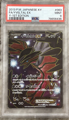 ポケカ XY イベルタルEX UR仕様 PSA10 イベルタルEX UR PSA10