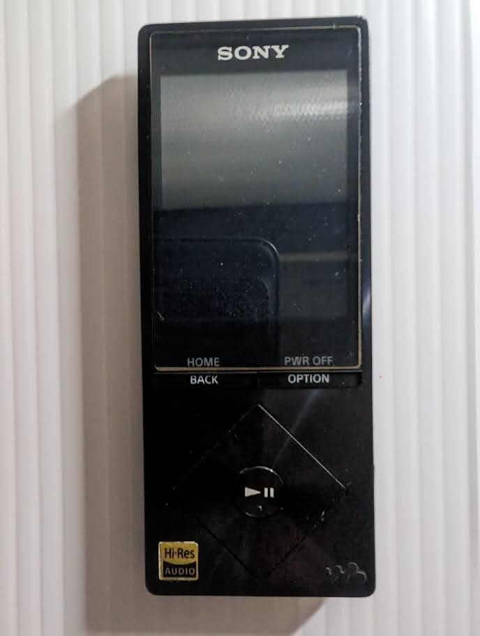 SONY NW-A17 Walkman Digital Media Player Black Good | eBay