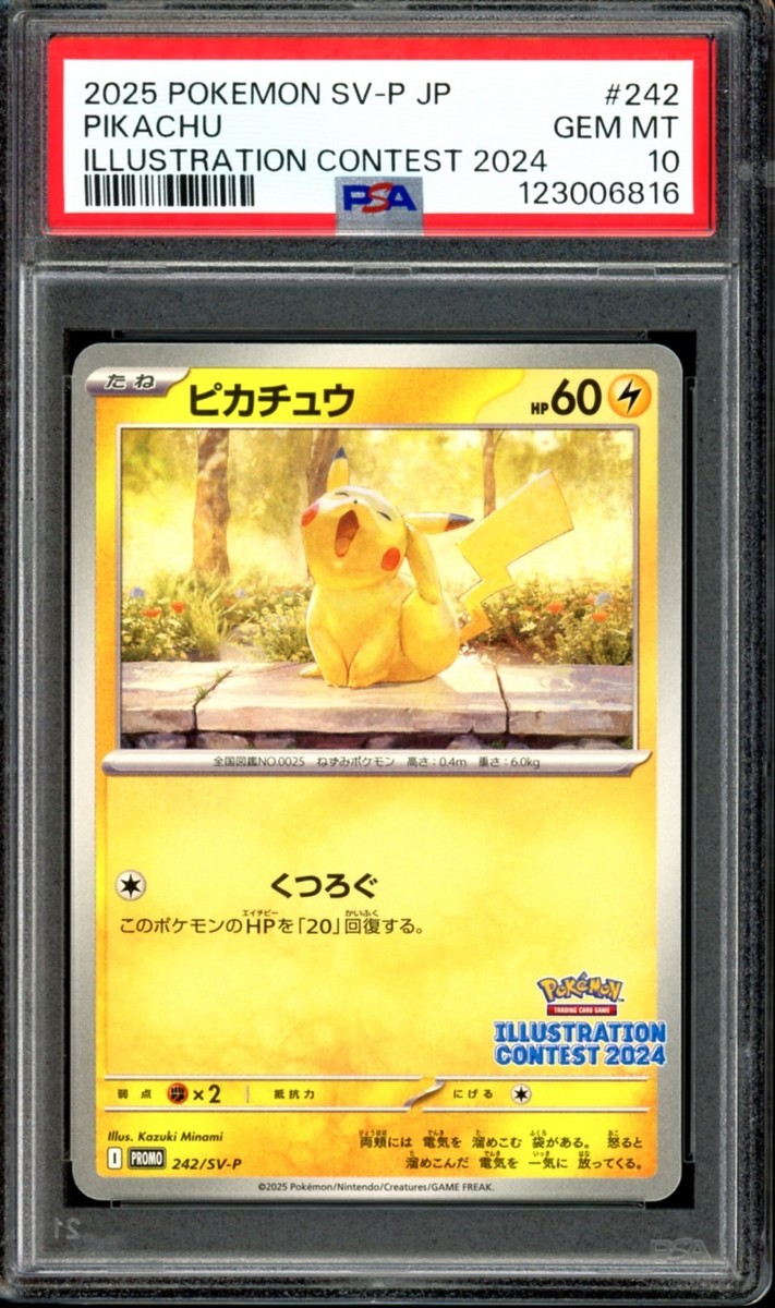 セール 【PSA10】ピカチュウ(-)〈242/SV-P〉[SV-P]6003 PSA 10 Pikachu