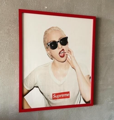 限定 Terry Richardson Lady Gaga 写真 SUPREME
