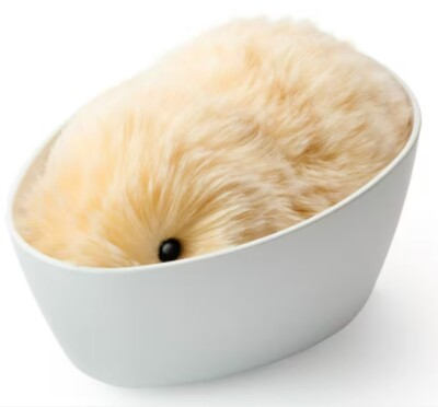 Casio AI Pet Moflin Communication Robot Gold PE-M10GD From Japan