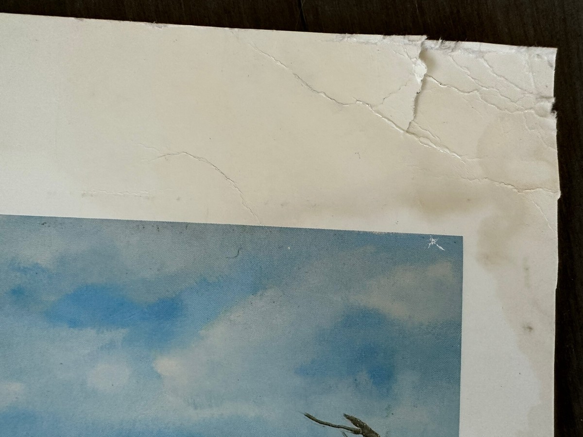 GRAEME W. BAXTER ダンロップフェニックス 版画 90/570 Cypress Point