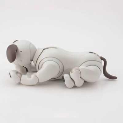 Sony AIBO ERS-1000 White Entertainment Robot Dog accessories w/Box