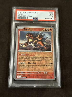 PSA10 Raging 旧枠 30th Anniversary PSA10 Raging 旧枠 30th