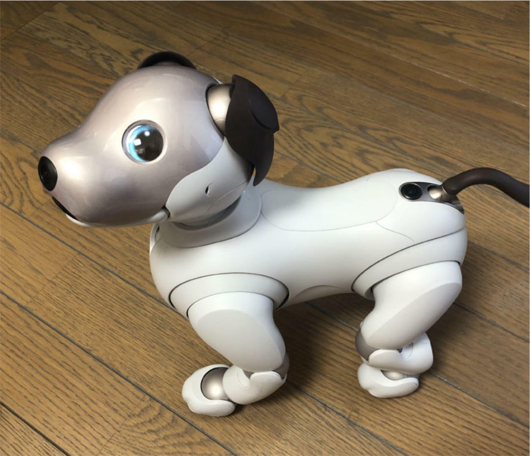 sony aibo アイボリーホワイト ERS-1000+おまけ 【公式通販】